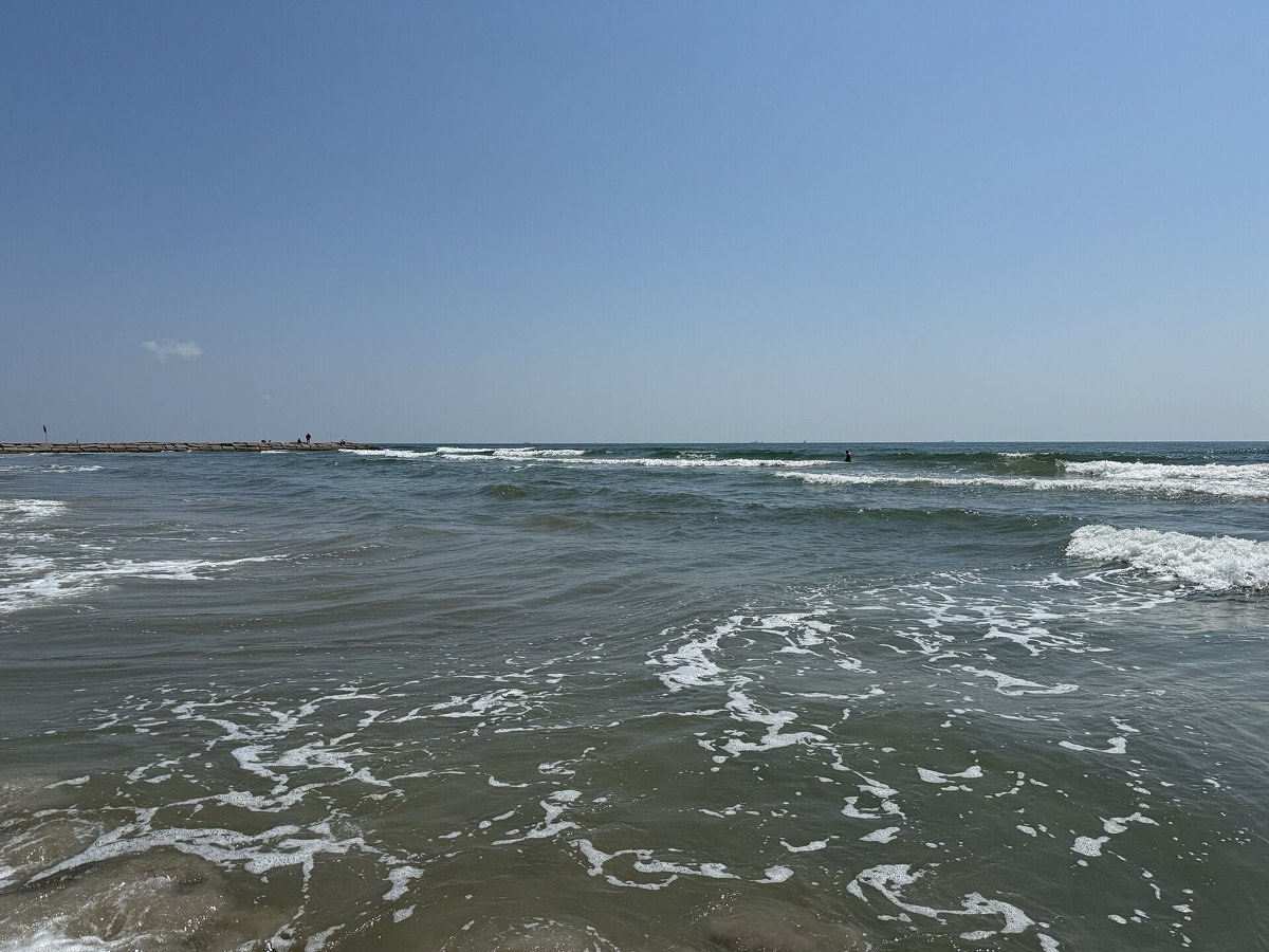 Galveston beach where the sandcastle competition is held