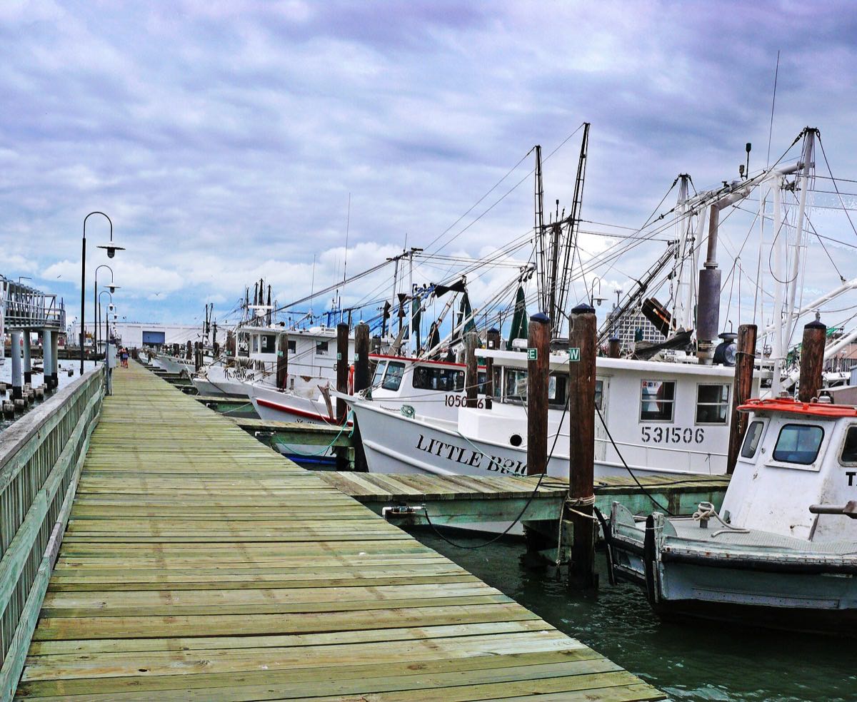 Shrimp boats berthed at Pier 19 in Galveston harbor